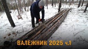 Валежник 2025. 1 серия