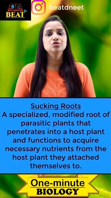 Assimilatory Roots | Haustorial Roots| Hygroscopic Roots| Shorts |One Minute Biology|Types Of Roots