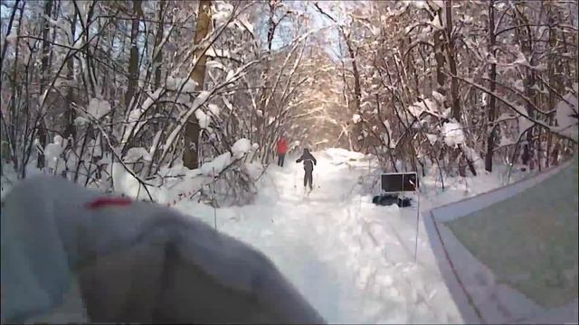 Что-то о зимнем лесе...о зимнем ориентировании. смотреть онлайн
