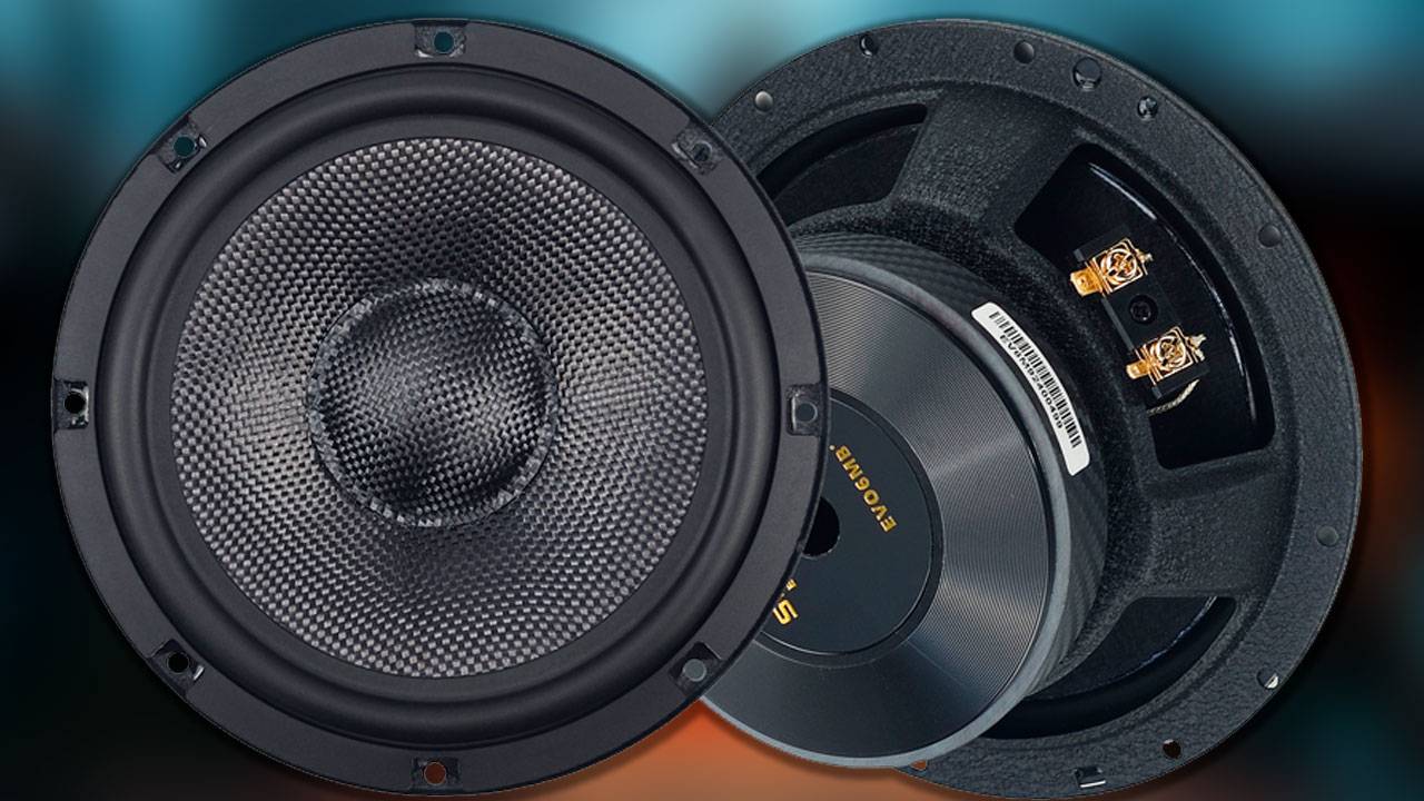 SKYLOR EVO6MB Carbon мидбас для ценителей