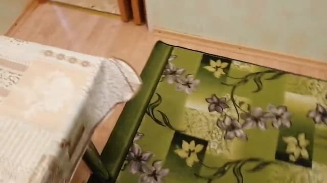 Хатка бобра смотреть онлайн