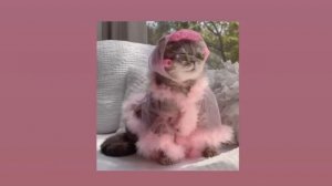 🌈✨Музыка для танцев/уборки✨🌈