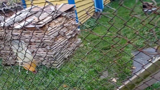 вулики ппу для всiх. смотреть онлайн