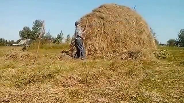 Укос-покос на Новом Свете! смотреть онлайн