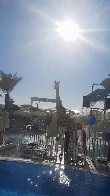 Отель " Granada Luxury".Аланья.Окурджалар.Турция 2021🙂. смотреть онлайн