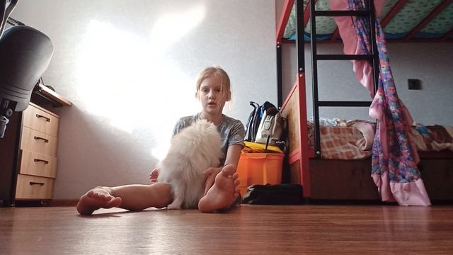 команды смотреть онлайн