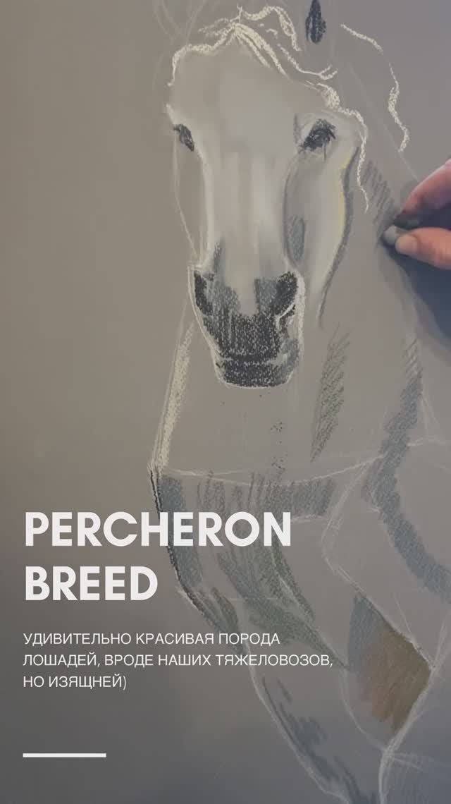 Рисунок пастелью | Лошадь породы першерон