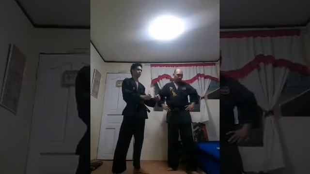 King's Sword ABKA Bushido karate Yellow belt kihon Basics Lesson #2