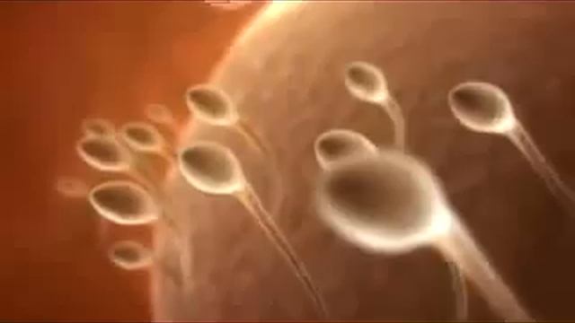 Как рождаются настоящие мужчины) as real men are born смотреть онлайн