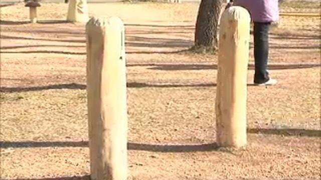 Деревянные скульптуры в Уссурийске.wmv смотреть онлайн