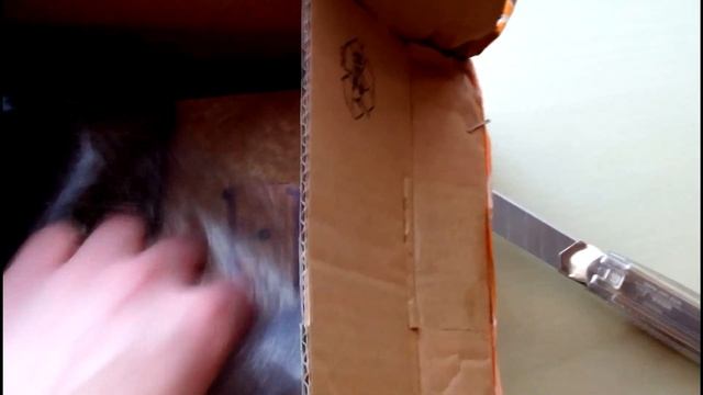 Посылочка из Таллина, Эстония.