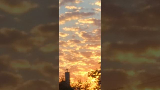 Cardigan- Taylor Swift (1 Hour) Best Part. *tiktok Version*