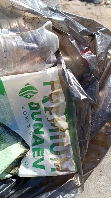 вот такой у меня улов сегодня смотреть онлайн