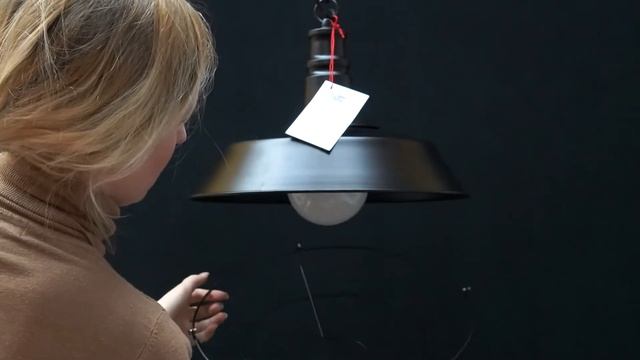 Светильник подвесной Arte lamp A9183SP-1BK Ferrico смотреть онлайн