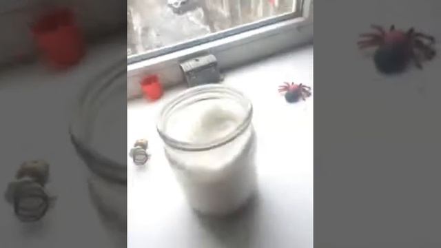 Уборка в моей комнате смотреть онлайн