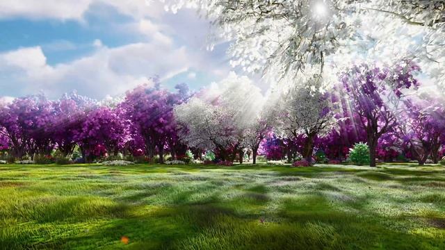 Nature wallpaper 4k with sakura and beautiful spring nature - Nature Background смотреть онлайн