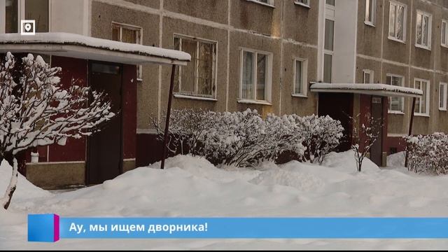 Ау, мы ищем дворника! смотреть онлайн