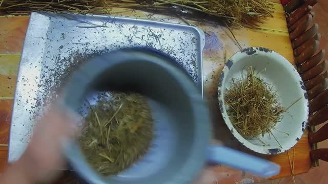 Как быстро и просто заготовить свои семена укропа и петрушки