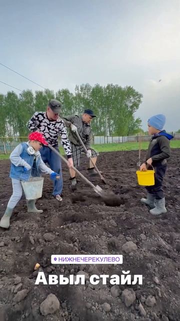 Братья Юнусовы сажают картошку с детьми. Авыл егетлэре. смотреть онлайн