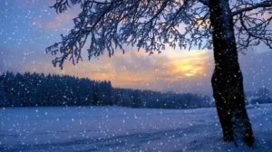 Я СПРОСИЛ У ЯСЕНЯ. ПЕСНЯ ИЗ Х.Ф. ИРОНИЯ СУДЬБЫ ИЛИ С ЛЁГКИМ ПАРОМ.ВИДЕОМОНТАЖ ЕЛЕНА МЕЛЬНИКОВА. .