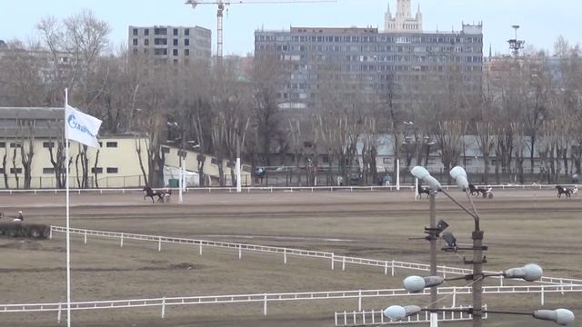 Московский ипподром. Бега. 05.04.15. Заезд 7(154) смотреть онлайн