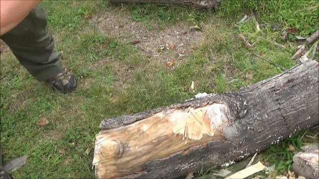 Kershaw Camp 12 Parang Machete Review ($25) смотреть онлайн