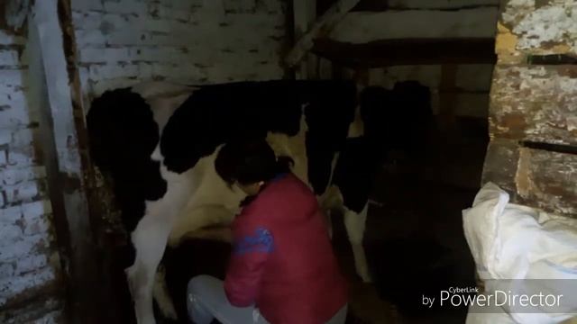🐄Я и моя коровушка.🐄 смотреть онлайн