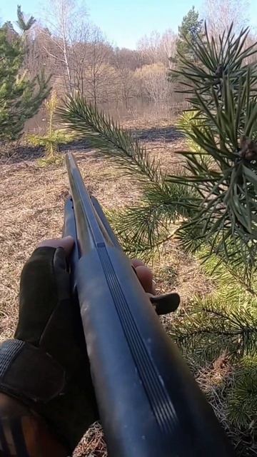 Открыли весенний сезон охоты 2023 - с полем #охота #природа #утка смотреть онлайн