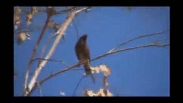 Moving Around. XD :D :P ^__^ смотреть онлайн