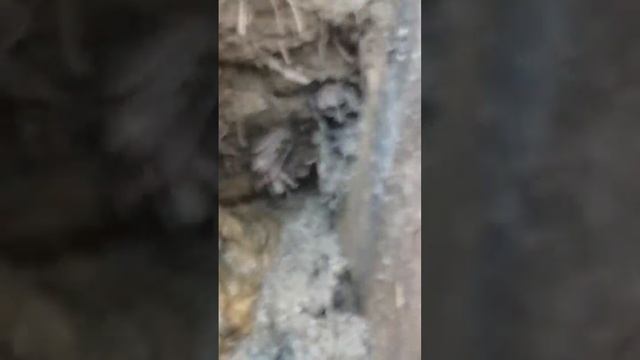 Супер сантехники ЖЭУ Волгограда смотреть онлайн