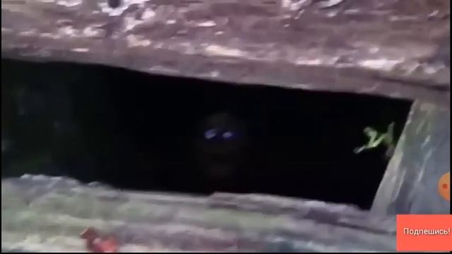 СТРАШНОЕ ВИДЕО ПРО СУЩЕСТВО В КОЛОДЦЕ! смотреть онлайн