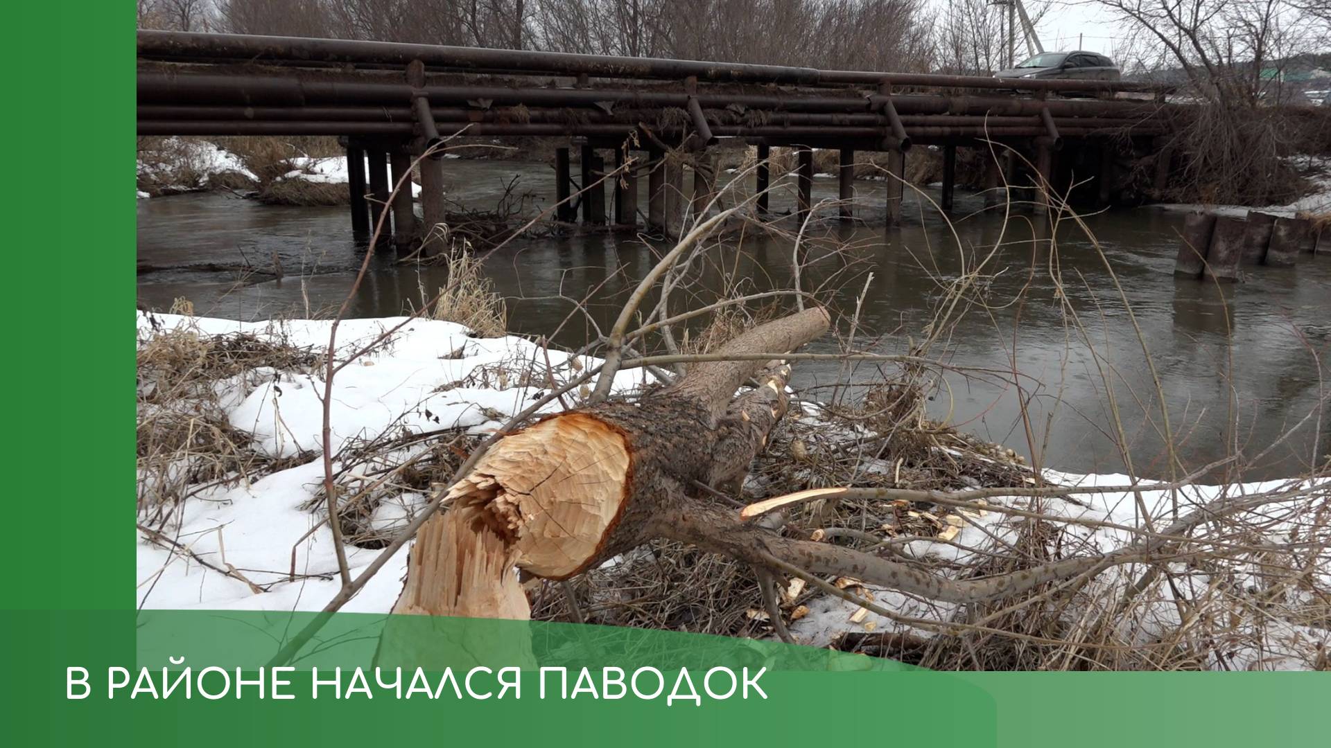 В Туймазинский район пришел паводок смотреть онлайн