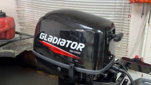 ОБЗОР Гладиатор 9.8 | Сравнение с Парсун