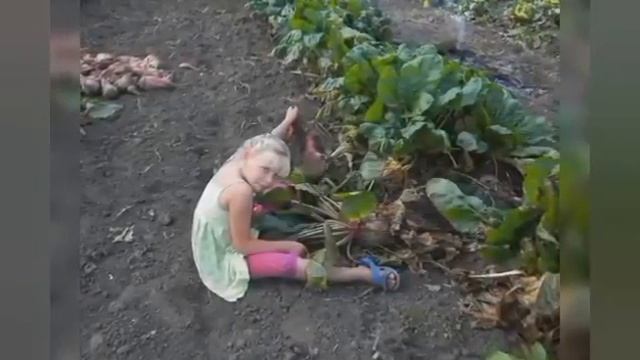 Відеопоезія. Сергій Осока "Сьогодні в лісі ще осіння днина...". Автор: Мажора Анна смотреть онлайн