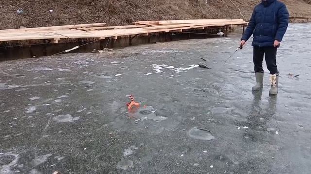 15-03-2025 смотреть онлайн