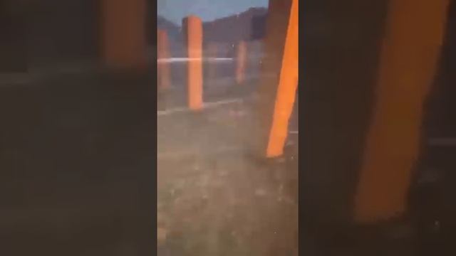 Более тысячи овец заживо сгорели при пожаре в Туркестанской области смотреть онлайн