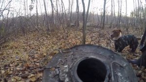 Стрельба пулей из гладкоствольного ружья ИЖ-27М 12 калибра. Унитаз в клочья.