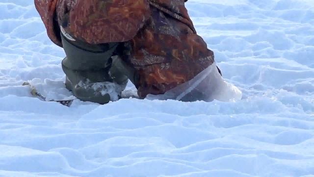 Рыбалка зимняя в Ельце смотреть онлайн