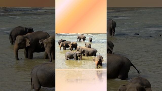 02 аквариум смотреть онлайн