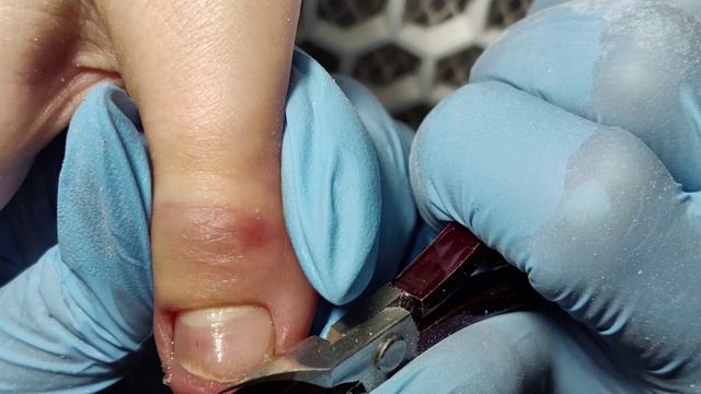 ВСЁ ВНИМАНИЕ ОДНОМУ! ХРОНИКА ИЗ 6 РАБОТ! КОРРЕКЦИЯ ДЛЯ ЛЕНЫ! смотреть онлайн