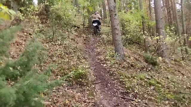 3 октября 2022 г. смотреть онлайн