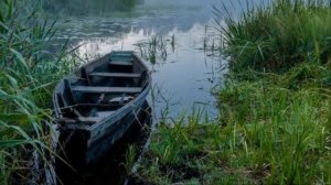 песня из сериала лесник