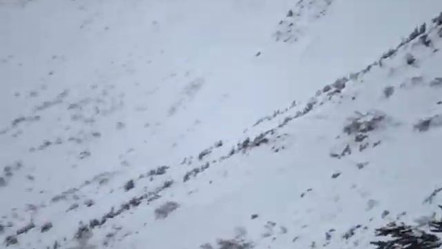 Freeride Cup 2010. Подъем на Говерлу 2 смотреть онлайн