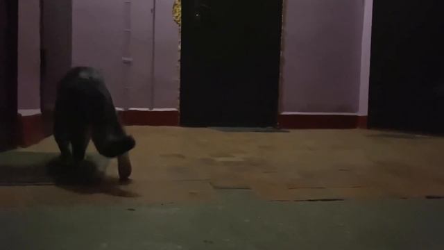 VLOG #5 Театр, каникулы и планы на НГ смотреть онлайн