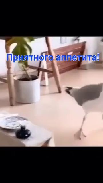 Доброе утро Всем☕💖 смотреть онлайн