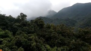 Китай, шеньжень, парк развлечений в дамейше