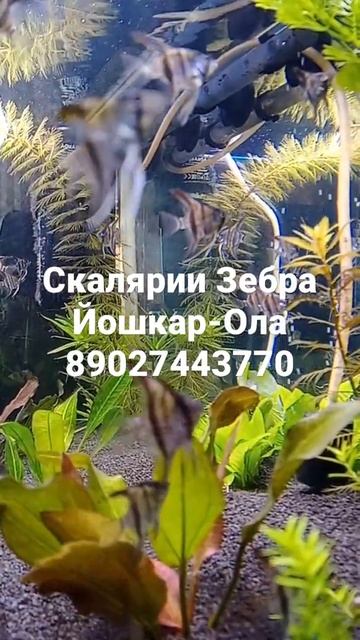 9 февраля 2022 г.