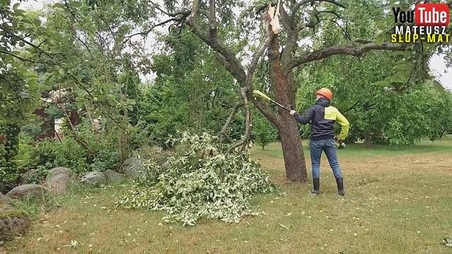 Piła Łańcuchowa na wysięgniku 4m Ryobi One + смотреть онлайн