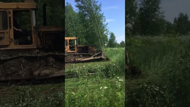 20 июня 2020 г.корчевка поля бульдозеров т130 смотреть онлайн