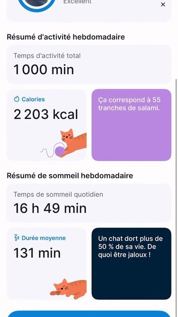 Application du GPS TRACTIVE, pour notre chat смотреть онлайн
